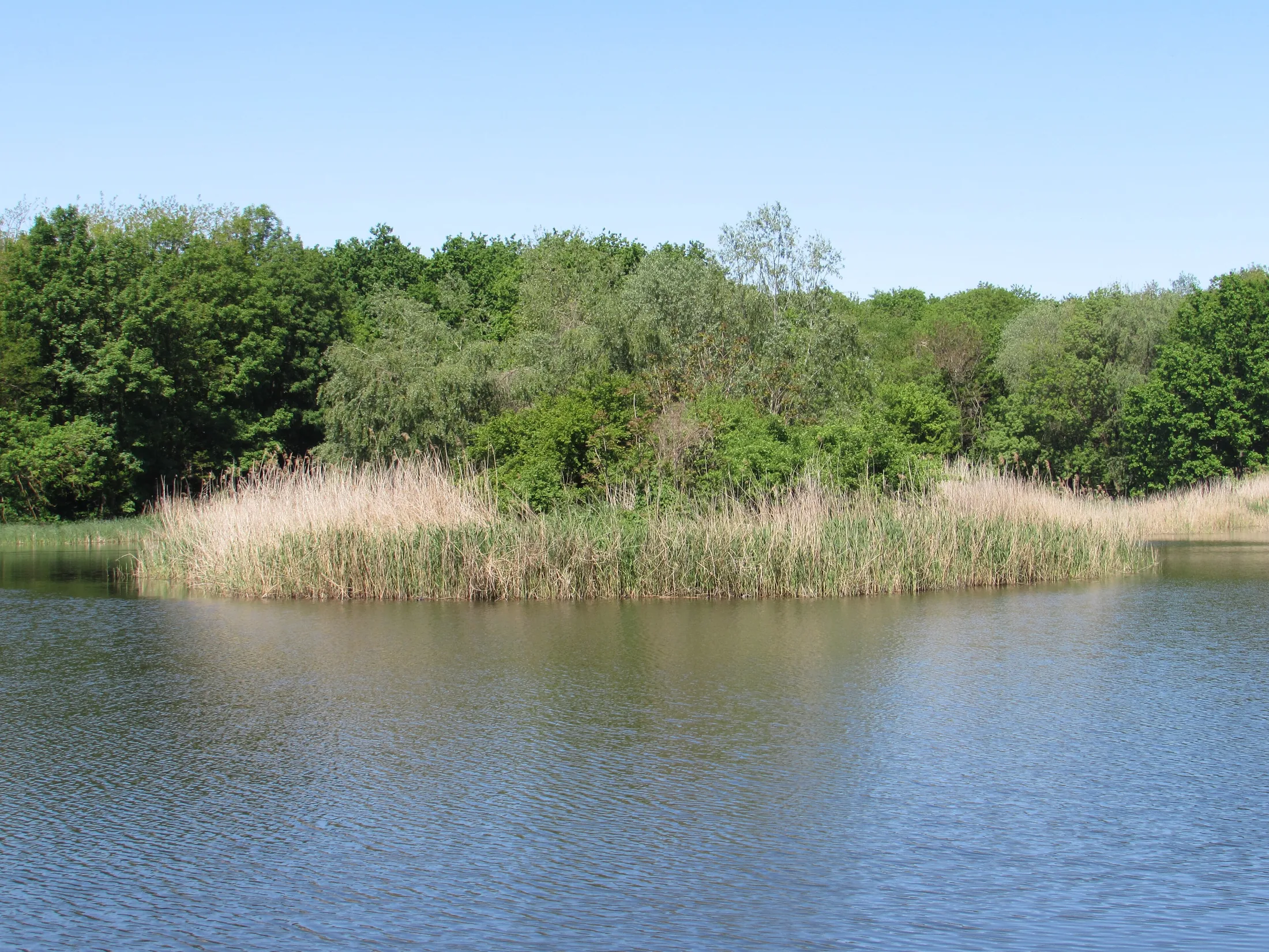 Gradina Botanica din Iasi - lacul22 in or near Iasi, Romania