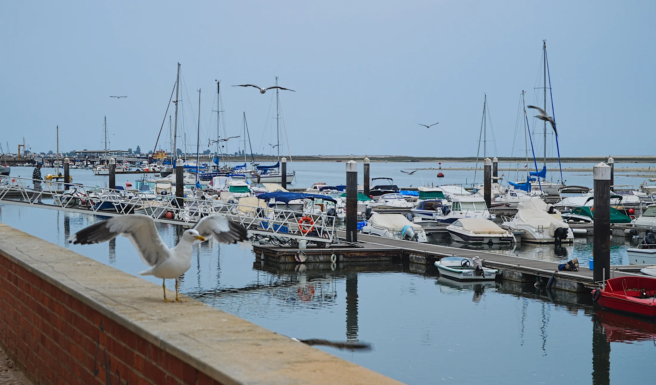 Marina de Olhão by Juntas 1, a stay or neighbourhood image for Olhao, Portugal