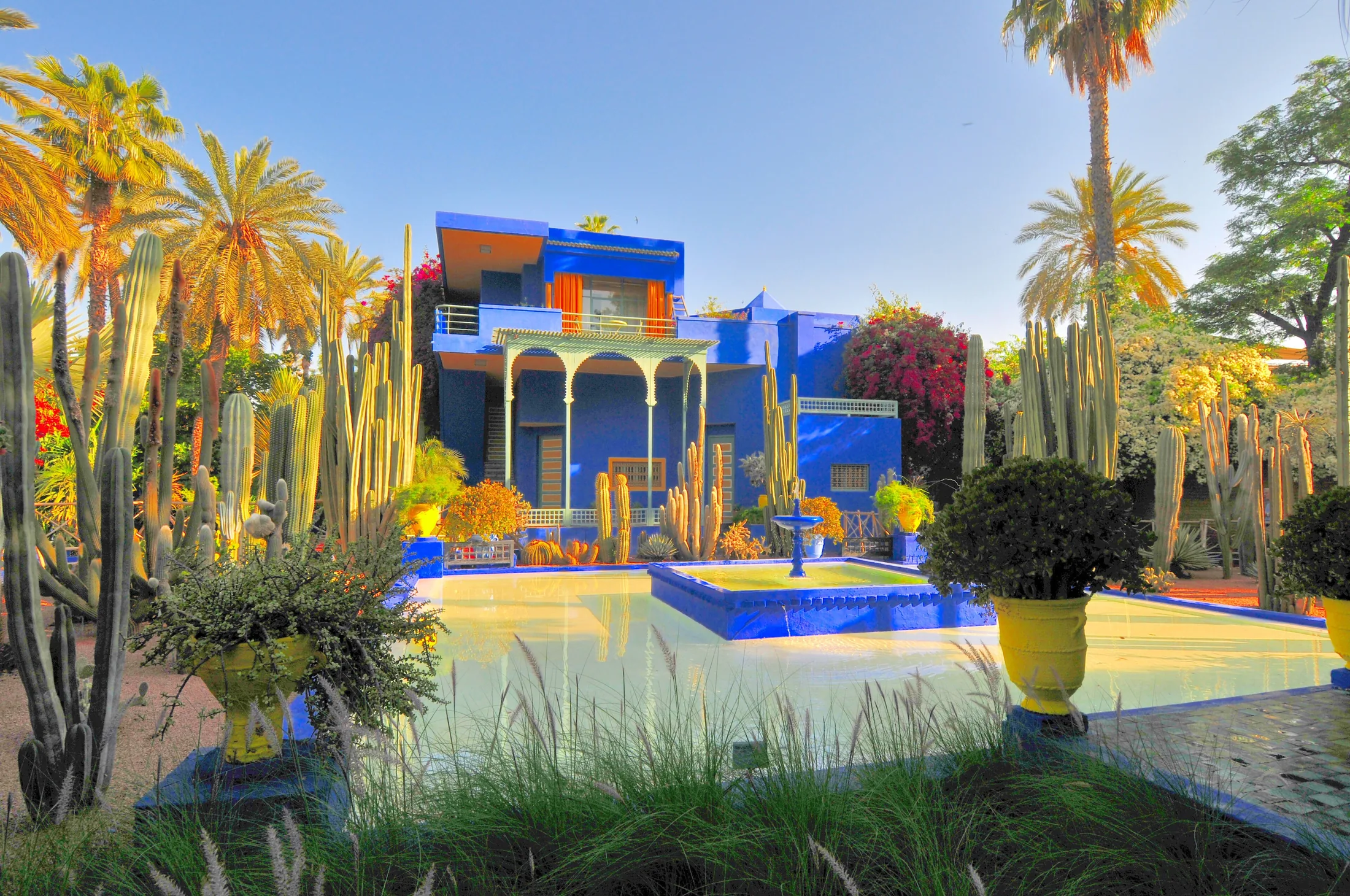 Le jardin des majorelle 21 in or near Marrakech, Morocco
